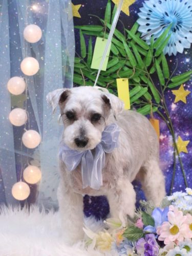 20250705ボルトくん